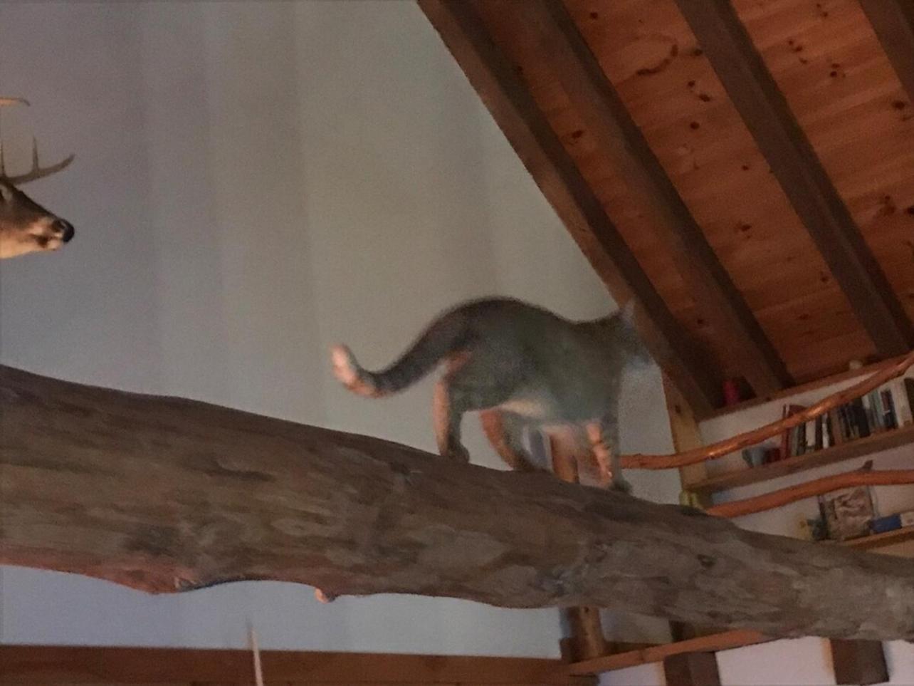 Roscoe Retreat别墅 外观 照片