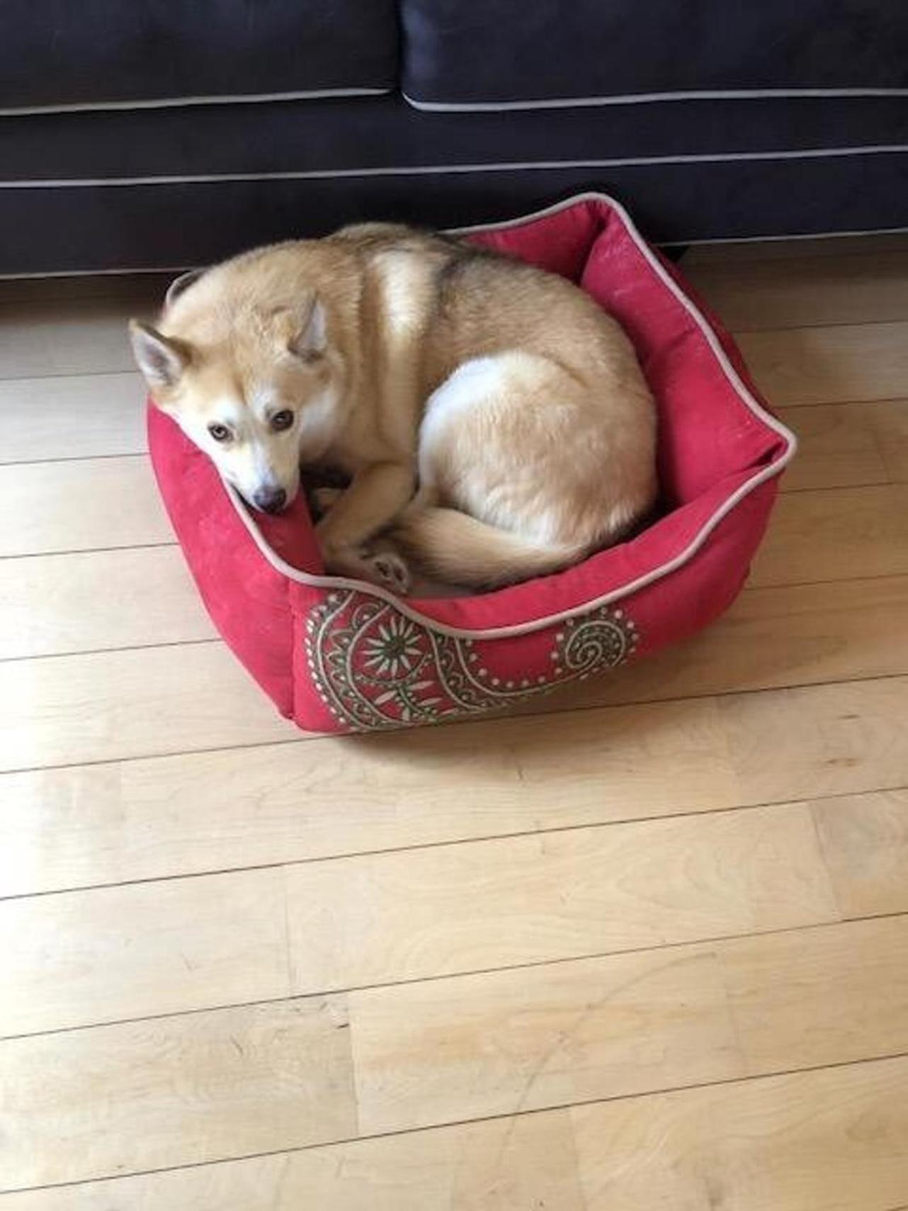 Roscoe Retreat别墅 外观 照片